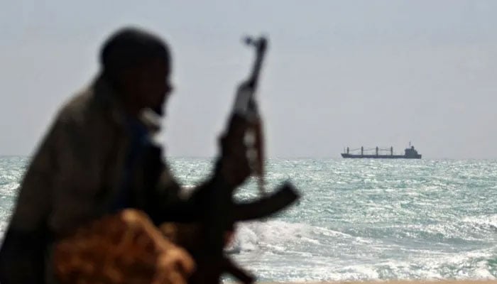The picture shows the ship with an armed man sitting on the beach. — AFP/File