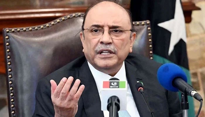 President Asif Ali Zardari addresses a press conference in Karahi. — PPI/File