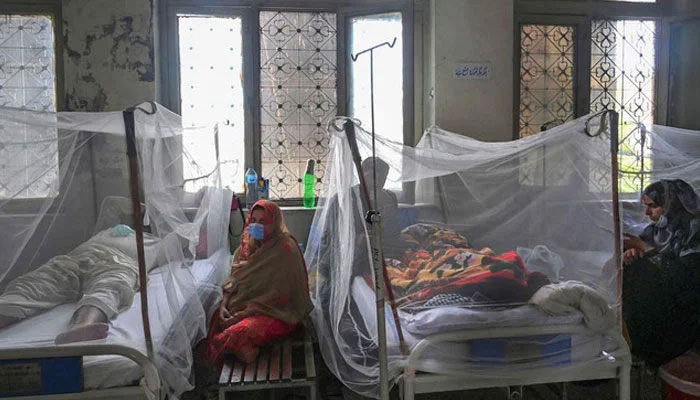 Relatives sit next to patients suffering from dengue fever resting under a mosquito net at a hospital in Pakistan. — AFP/File