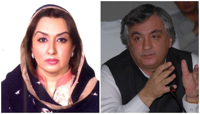 This combo of images shows Pakistan People’s Party (PPP) leaders former federal minister Arbab Alamgir (R) and his wife Asma Alamgir (L). — APP/File