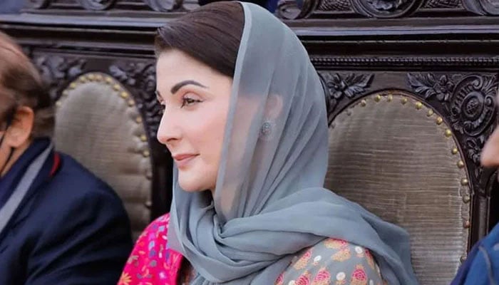 Punjab Chief Minister contender Maryam Nawaz Sharif can be seen in this image. — Facebook/Maryam Nawaz Sharif/File
