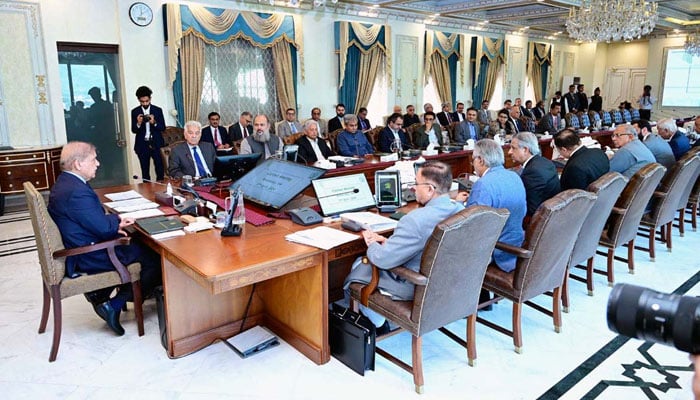 Prime Minister Muhammad Shehbaz Sharif chairs a meeting of the federal cabinet in Islamabad on April 17, 2024. — APP