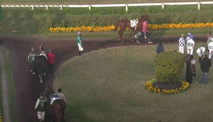 This image shows a general view of horses, trainers and riders at the Lahore Race Club. — Screengrab/YouTube/Lahore Race Club/File