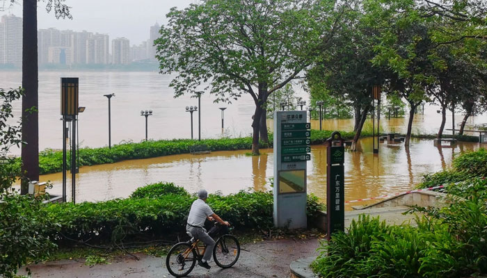 A person cycles past flood waters near a river in Qingyuan City, in Chinas southern Guangdong Province. — AFP/File