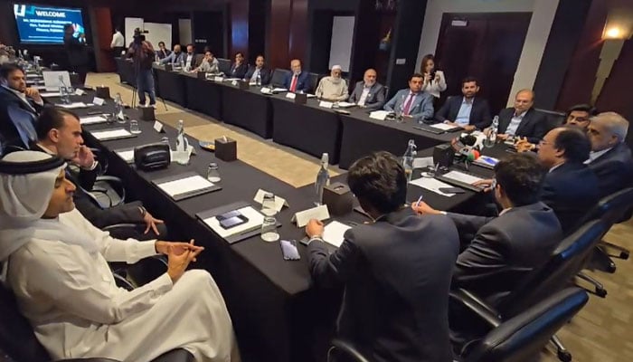 Finance Minister Muhammad Aurangzeb addressing the business diaspora of Pakistan and Emirati investors in Dubai on April 22, 2024. — Reporter