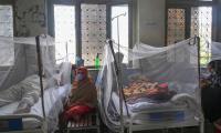 78 premises sealed for violating dengue SOPs