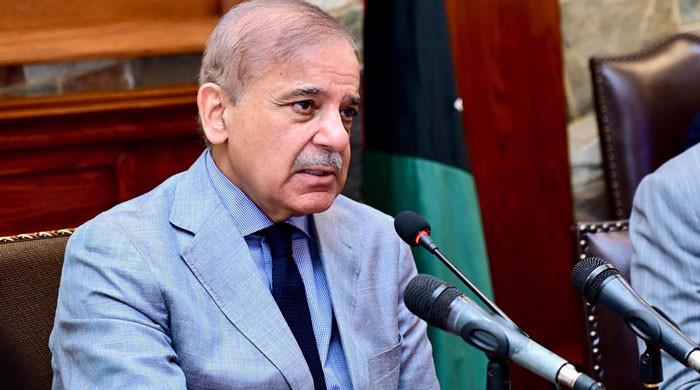 PM powers to make key appointments withdrawn by cabinet - Vimarsana News