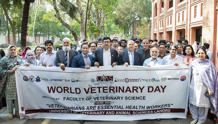 Faculty of Science of the University of Veterinary and Animals Sciences (UVAS) observed World Veterinary Day with the theme of “Veterinarians Are Essential Health Workers” at City Campus on April 26, 2024. — Academia Mag website