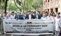 UVAS holds walk, seminar, poster contest on World Veterinary Day
