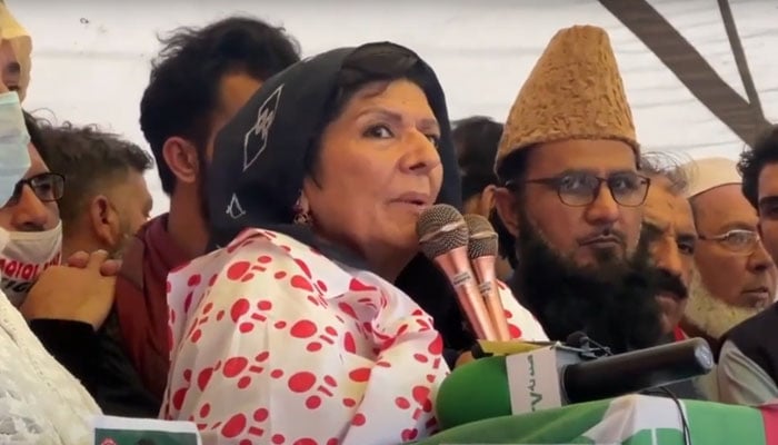 Aleema Khan, sister of ex-prime minister Imran Khan, addressing the sit-in in Swabi on April 27, 2024. — YouTube/Geo News screenshot