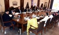 Sindh govt okays food security, women agriculture support programmes