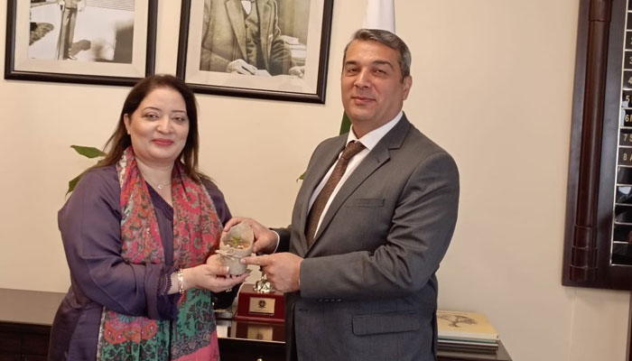 PMs Coordinator on Climate Change and Environmental Coordination, Romina Khurshid Alam meets with the Ambassador of the Republic of Azerbaijan to Pakistan, Khazar Farhadov. — APP/File