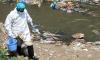 Poliovirus found in sewage samples of 10 districts across country