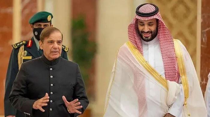 50-member Saudi team to arrive for investment talks on Sunday - Vimarsana News