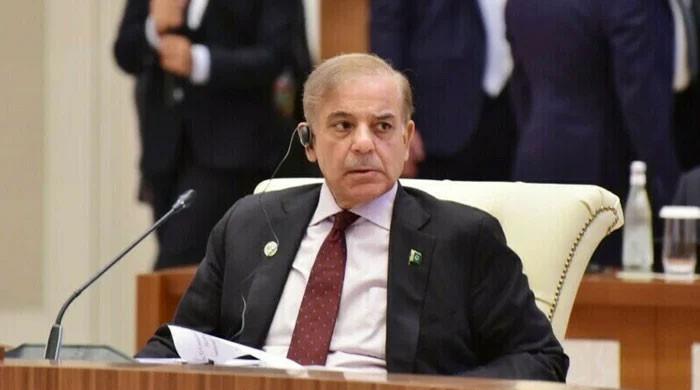 Shehbaz orders probe into wheat import - Vimarsana News
