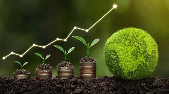 Experts advocate for green financing