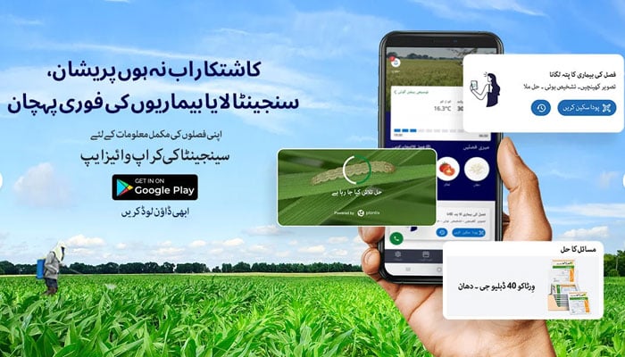 The image shows a poster of Syngenta Pakistans CropWise Grower mobile application. — Syngenta website/File