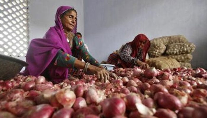 Women sort onions at a wholesale market. — Reuters/File