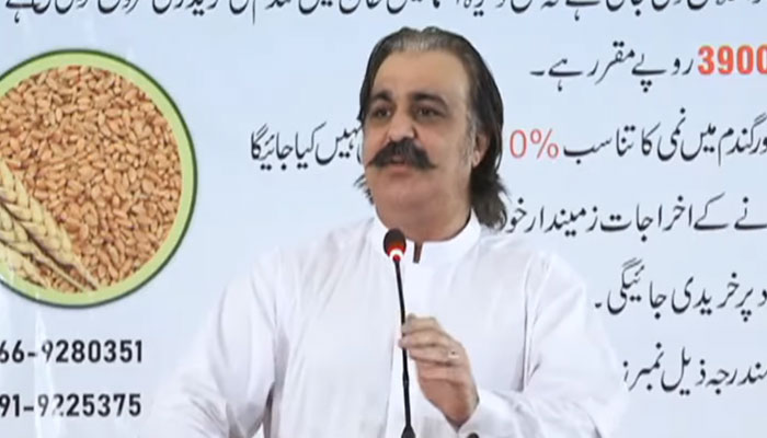 KP Chief Minister Sardar Ali Amin Khan Gandapur speaks during an event on May 8, 2024. — Facebook/Ali Amin Khan Gandapur