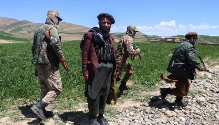 Armed Taliban security personnel walk along a wheat field in Argo district, Badakhshan province on May 6, 2024. — AFP/File
