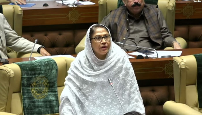 In this still, Pakistan Peoples Party central leader and Women’s Wing president Faryal Talpur Speaks in the Sindh Assembly on May 9, 20234. — Facebook/Pakistan Peoples Party - PPP