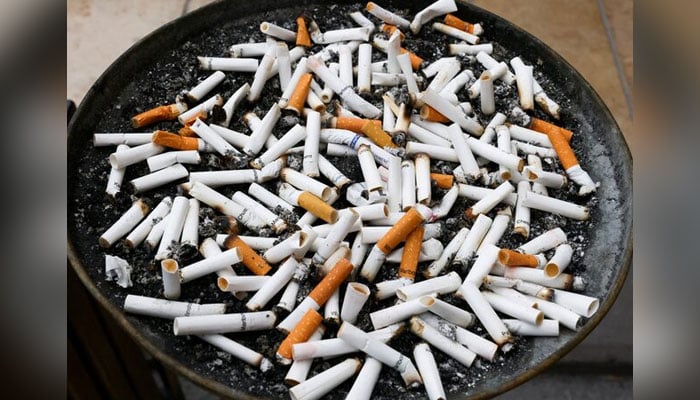Cigarette butts are seen in an ashtray. — REUTERS/File