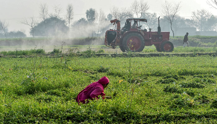 In this picture taken on February 23, 2020, officials of the Agriculture Department on a tractor spray pesticides to kill locusts as a farmer works in a field in Pipli Pahar village in Punjab. — AFP/File