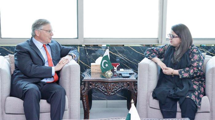 US keen to expand IT cooperation with Pakistan: Blome - Vimarsana News