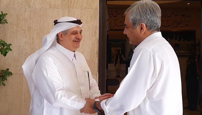 Saudi Ambassador Nawaf bin Said Ahmad al-Maliki greets Interior Minister Mohsin Naqvi on May 18, 2024. — PID