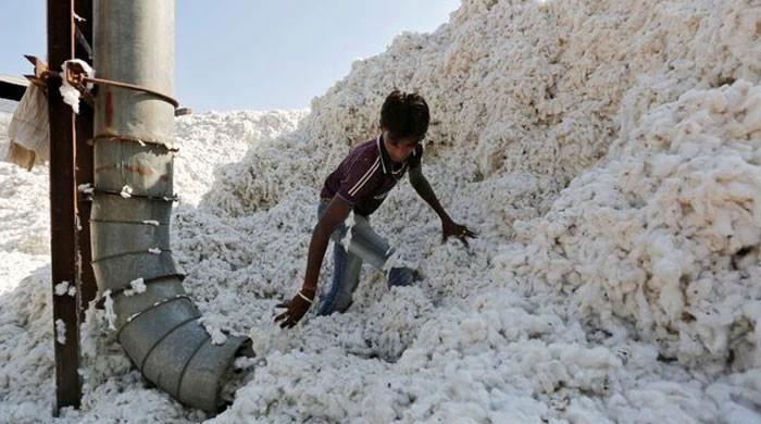 Secy for using all means to get cotton cultivation target - Vimarsana News