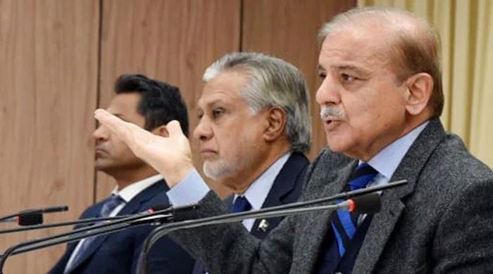 PM forms new economic advisory council without Dar, Aurangzeb - Vimarsana News