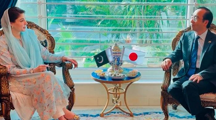 Maryam meets Japanese envoy, offers him investment opportunities in Punjab - Vimarsana News