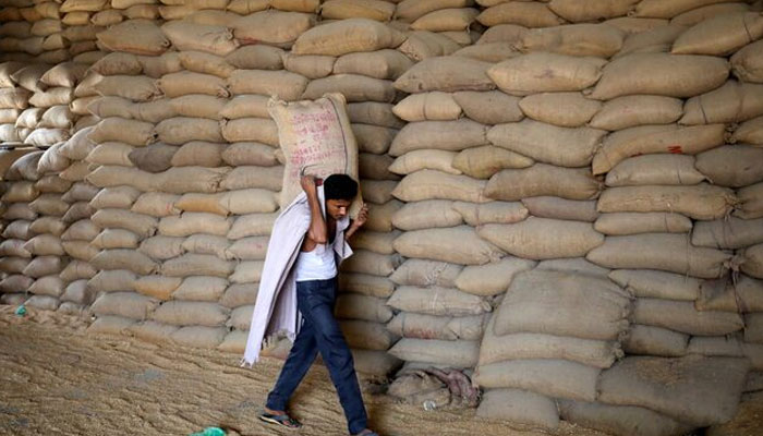A worker carries a sack of wheat for sifting at a grain. — Reuters/File