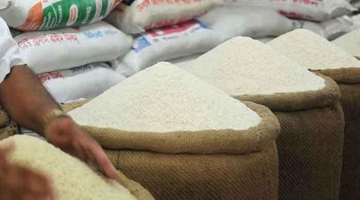 Pakistan food exporters confident of boosting market share in Saudi Arabia - Vimarsana News