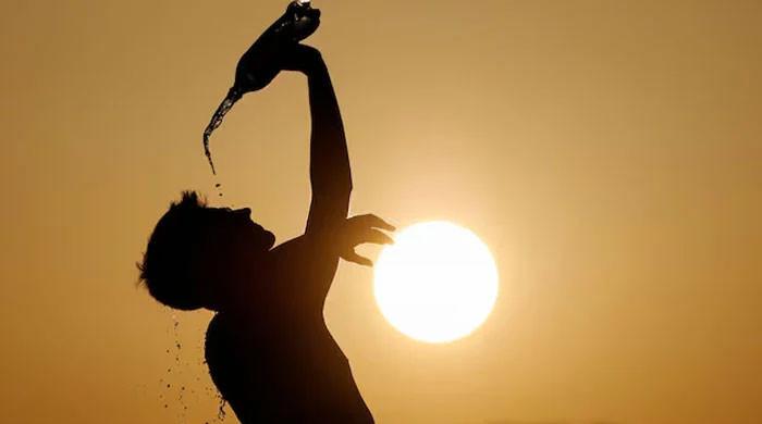 'Sensitising public about heatwave coping measures key to avoiding heat-related illnesses' - Vimarsana News