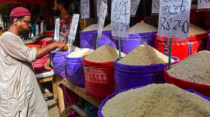Oman Country Rice Muscat meets 60pc of its rice demand with Pakistani grain: diplomat