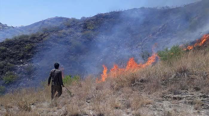 Firefighters fail to extinguish forest fire in Lower Dir - Vimarsana News