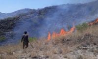 Firefighters fail to extinguish forest fire in Lower Dir