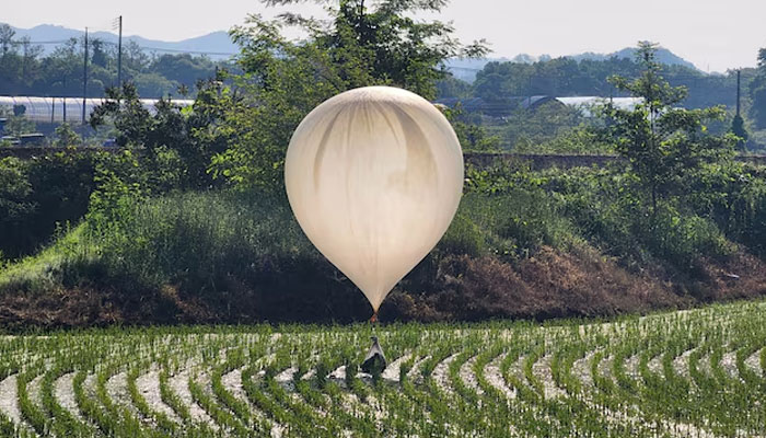 A balloon believed to have been sent by North Korea, carrying various objects including what appeared to be trash and excrement, is seen over a rice field at Cheorwon, South Korea, May 29, 2024. — Reuters/file