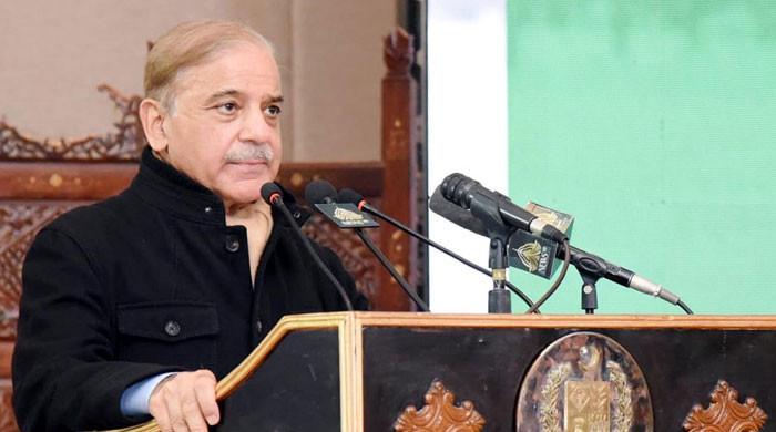 Shehbaz forms 5-member panel to wind up Pak-PWD - Vimarsana News