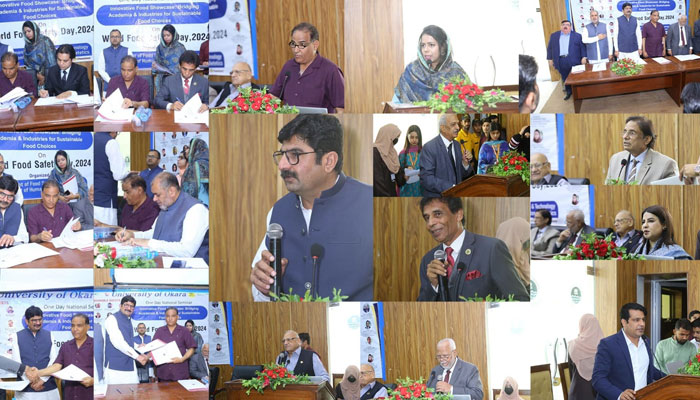 This collage of images shows, some glimpse of World Food Safety Day organised by the University of Okara on June 9, 2024. — Facebook/University of Okara