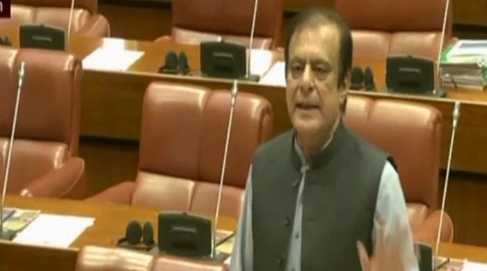 Senate slams CDA bid to demolish Shibli's house - Vimarsana News