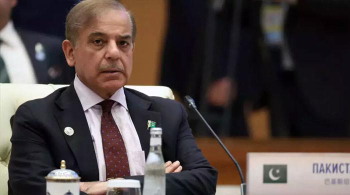 Shehbaz, not finance minister, to head reconstituted Ecnec - Vimarsana News