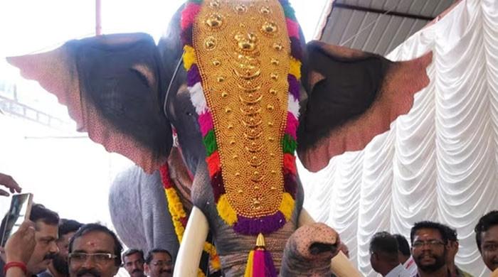 Elephant Ritual Indian temple gets mechanical elephant for rituals