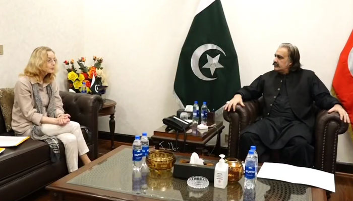 Ambassador of the Kingdom of the Netherlands Henny Fokel de Vries exchanges views with Chief Minister Khyber Pakhtunkhwa Sardar Ali Amin Khan Gandapur on June 27, 2024. — Screengrab via Facebook/Ali Amin Khan Gandapur