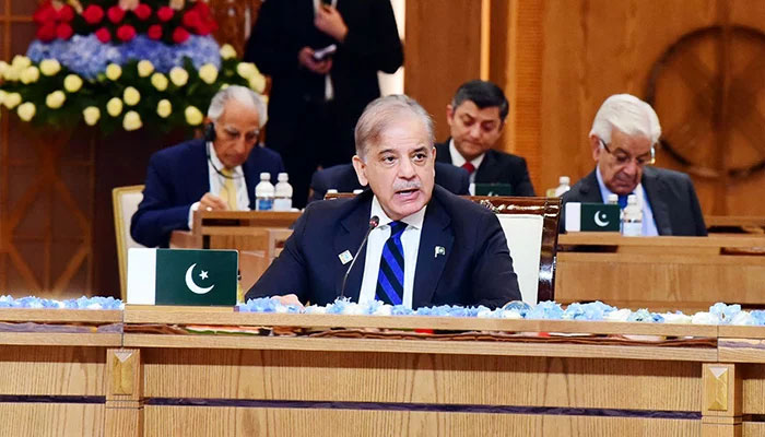 PM Shehbaz Sharif addresses the Shanghai Cooperation Organisation Plus Summit on July 4, 2024. — PID