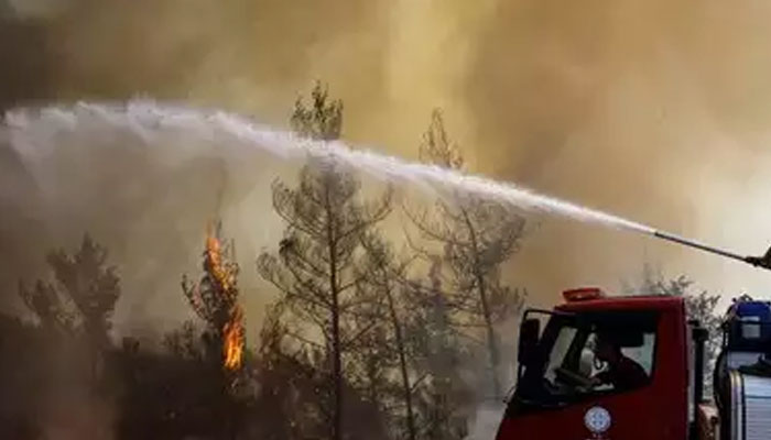 A firefighter tries to extinguish a wildfire near marmaris, Turkey. — Reuters/file