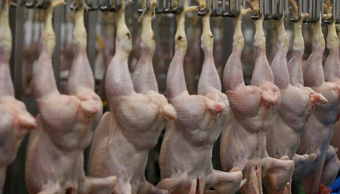 This representational image shows chicken meats hangs at a shop. — Reuters/File