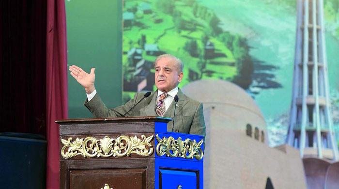 Cut in power tariff soon: Shehbaz