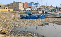 ‘Karachi’s coastline could become dead zone for seafood if pollution is not checked’